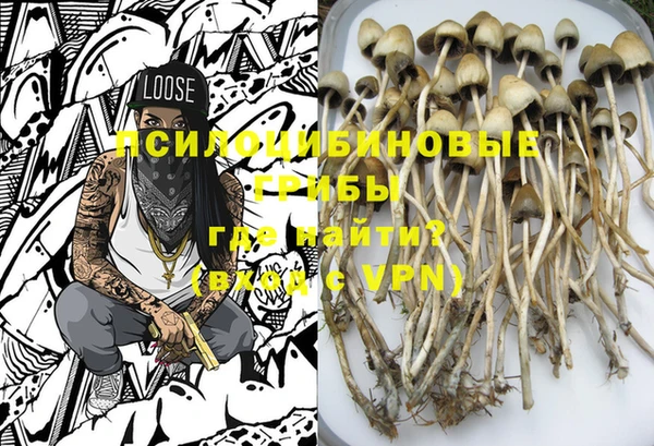 PSILOCYBIN Балахна